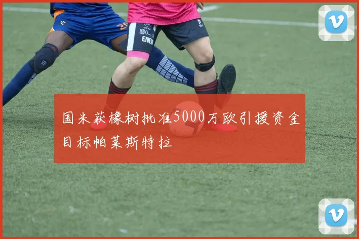 国米获橡树批准5000万欧引援资金目标帕莱斯特拉