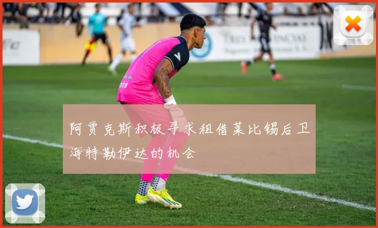 阿贾克斯积极寻求租借莱比锡后卫海特勒伊达的机会