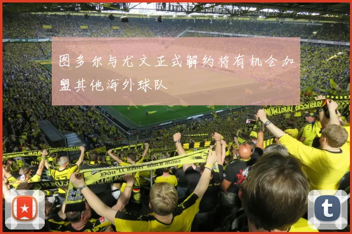 图多尔与尤文正式解约将有机会加盟其他海外球队